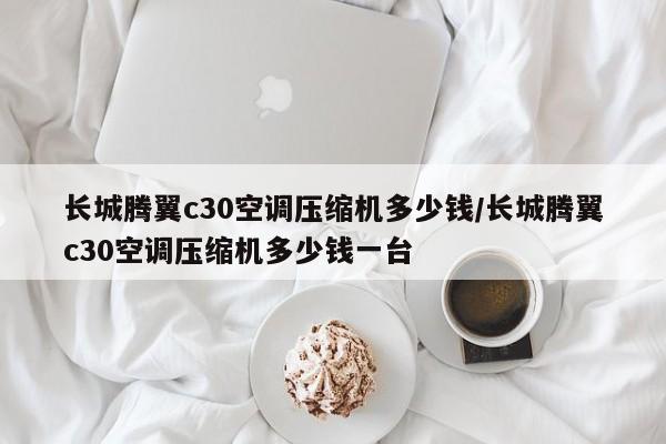 长城腾翼c30空调压缩机多少钱/长城腾翼c30空调压缩机多少钱一台