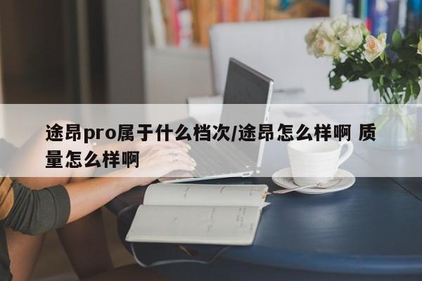 途昂pro属于什么档次/途昂怎么样啊 质量怎么样啊